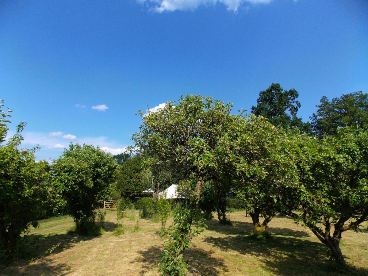 אשבורן Hope Cottage Bell Tent Retreat מראה חיצוני תמונה